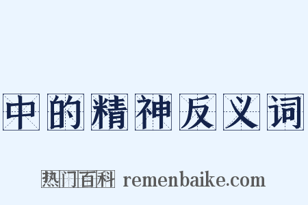 中的精神反义词是什么意思的图片